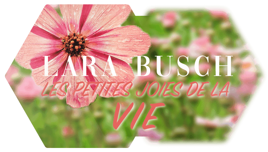 Logo Lara Busch Bloggerin