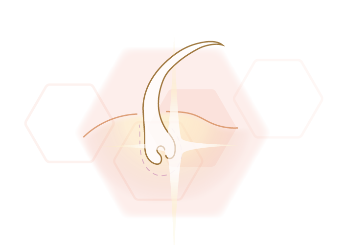 Icon illustration hair rool laser mode of action symbol