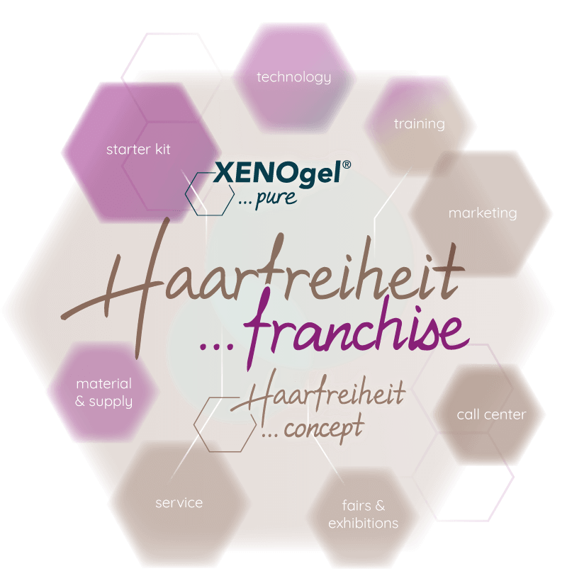 Infographic franchise advantages overview