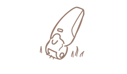 Icon Epilation