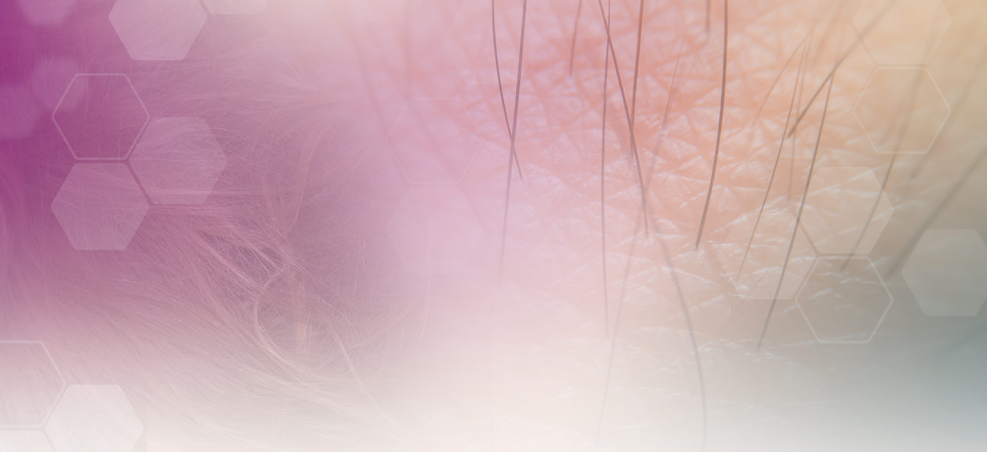 Bannerbild Haarbiologie