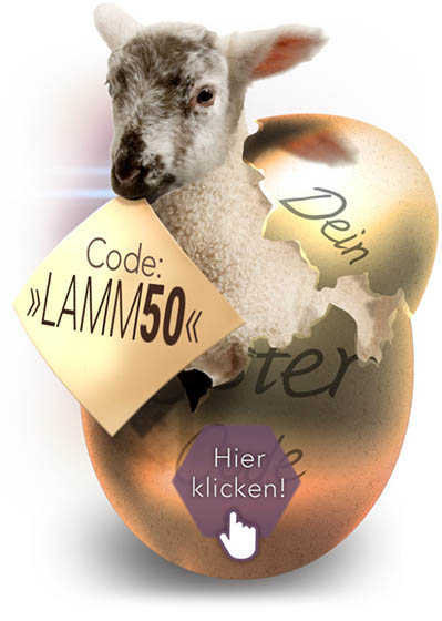 Zweites Bild