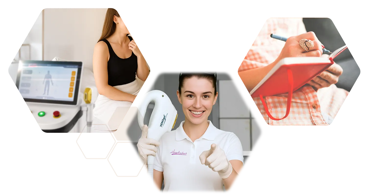 Magazin Kategorien Kollage Waben